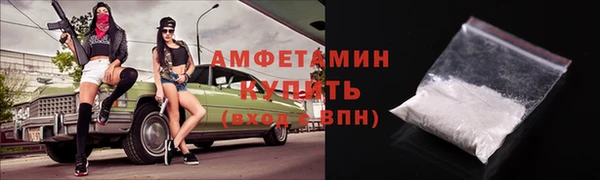 ECSTASY Бородино